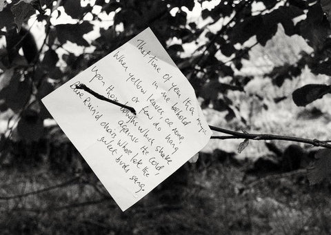 Note in the woods.