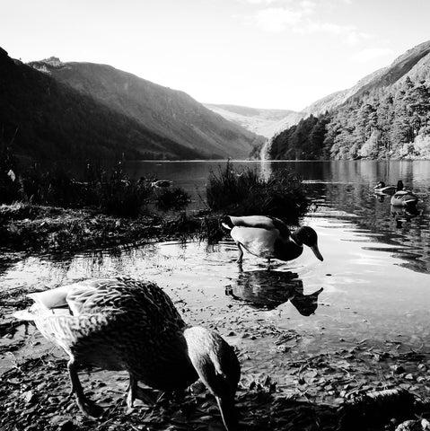 Glendalough, Co Wicklow.