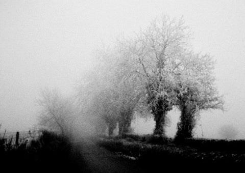 Hoar Frost.