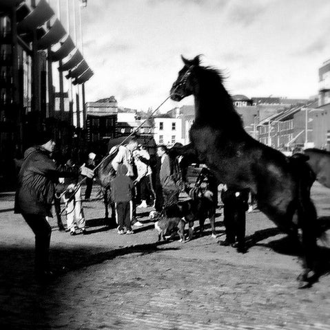 Smithfield Horse Fair, Dublin.
