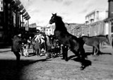 Smithfield Horse Fair, Dublin.