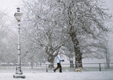 Snow on the Avenue.