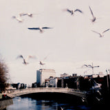 River Liffey, Dublin.